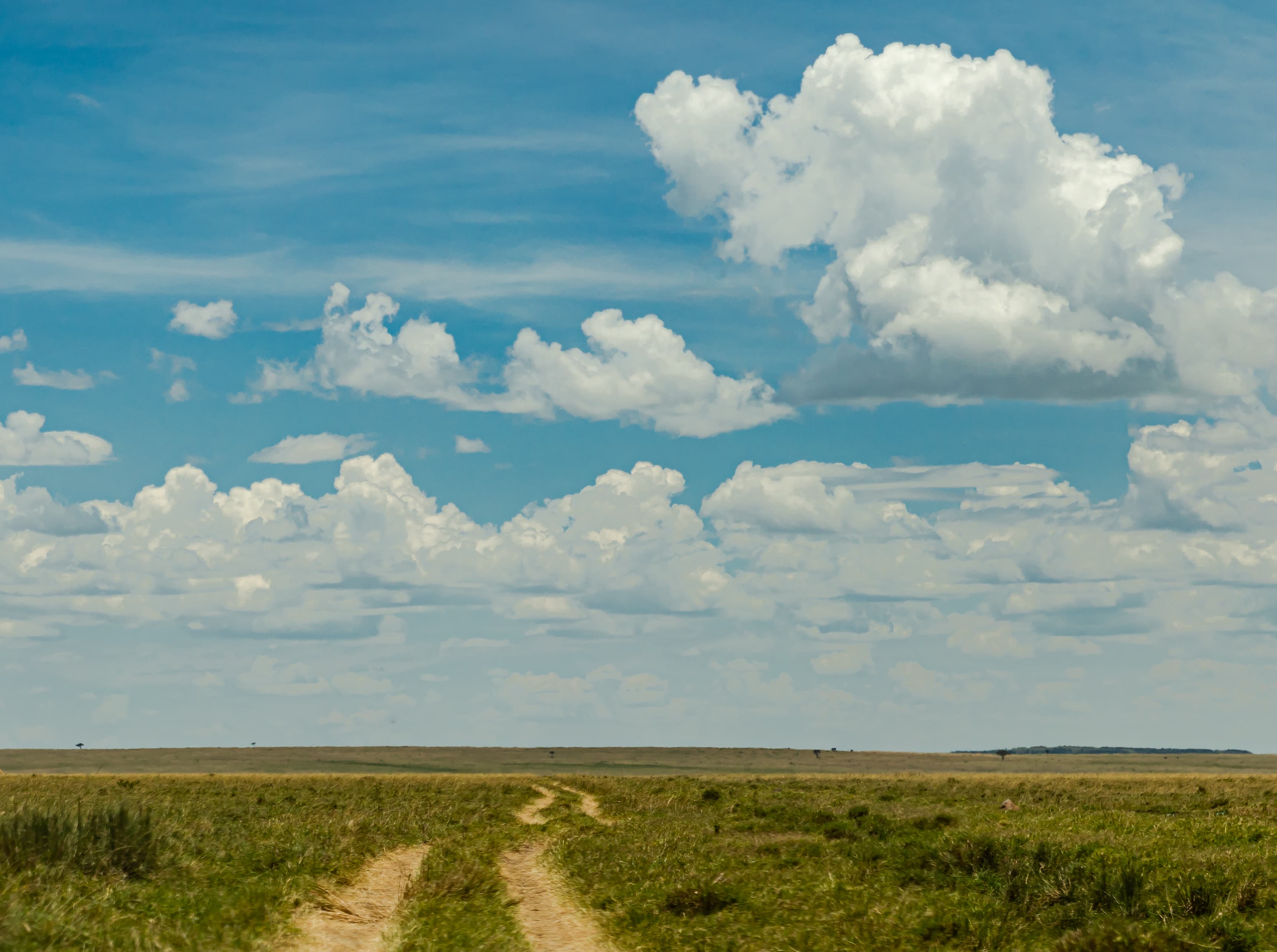 The Maasai Mara landscape in Kenya