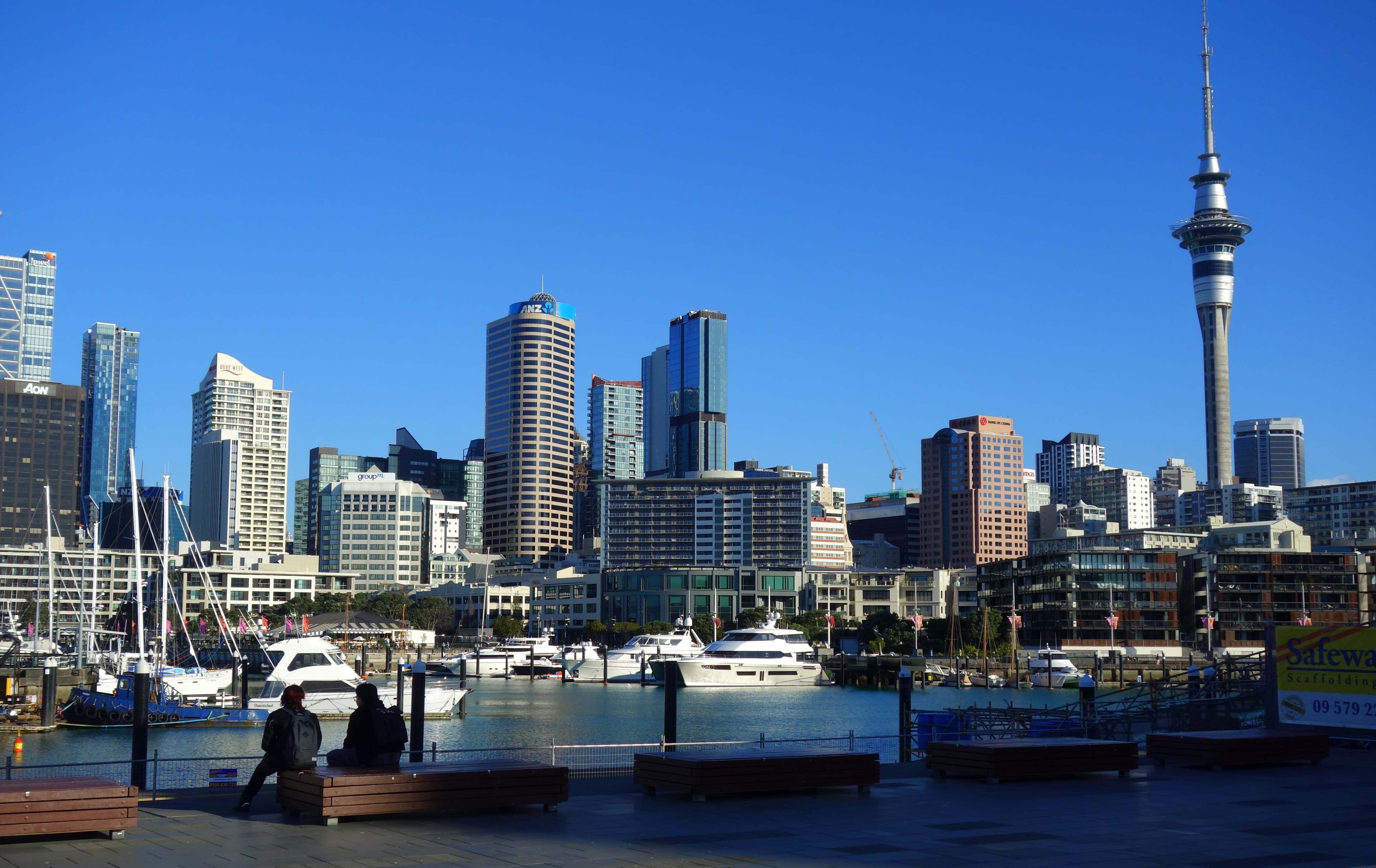 The Auckland skyline, providing geographic context for the investigation