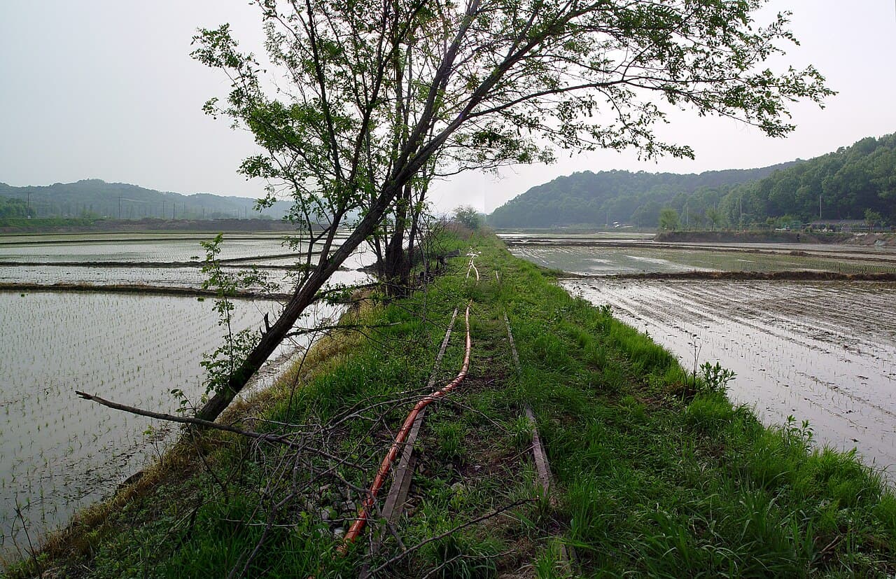 A railway line passing through rice fields in Hwaseong, Gyeonggi Province